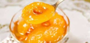 Recipe para sa paggawa ng aprikot na jam na may mga almendras para sa taglamig