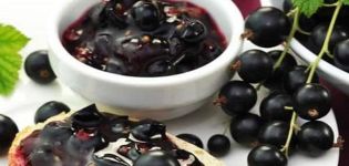 7 populiariausių juodųjų serbentų penkių minučių uogienės žiemai receptai