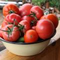 Kuinka valita paras tomaattilajike peittaamista ja säilömistä varten