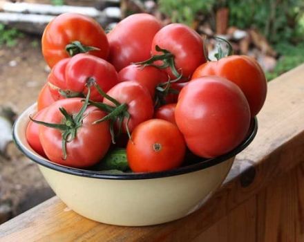كيفية اختيار أفضل أنواع الطماطم للتخليل والحفظ