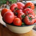 Characteristics and description of the tomato variety Azhur f1, its yield