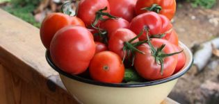 Charakterystyka i opis odmiany pomidora Azhur f1, plon