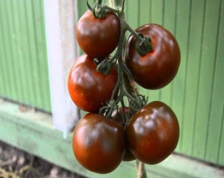 Egenskaper och beskrivning av Kumato-tomatsorten, dess utbyte