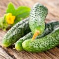 Teelt, kenmerken en beschrijving van de komkommervariëteit Parijse augurk