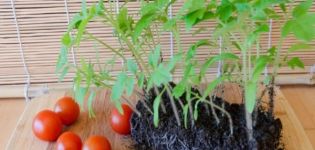Tomaattilajikkeen Eupator ominaisuudet ja kuvaus, sen sato