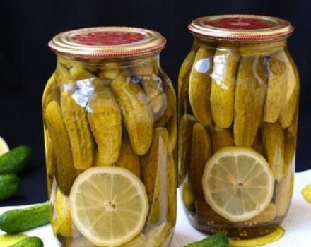 TOP 10 recepten voor Praagse komkommers met citroen en citroenzuur voor de winter, thuis
