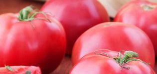 Beskrivning av Vermilion-tomatsorten, dess egenskaper och utbyte