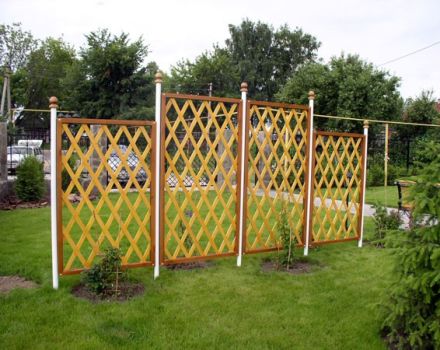 How to make a trellis for grapes with your own hands, diagrams and sizes of structures