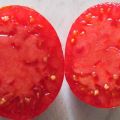 Charakterystyka i opis odmiany pomidora Babushkino, jej plon