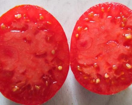 Babushkino domates çeşidinin özellikleri ve tanımı, verimi