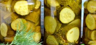 TOP 15 recepten voor het beitsen van grote komkommers met knapperige stukjes voor de winter