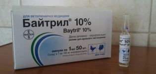 Gebrauchsanweisung und Zusammensetzung von Baytril für Entenküken, Dosierung und Analoga