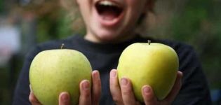 وصف وخصائص تفاح موتسو وزراعة ونمو ورعاية