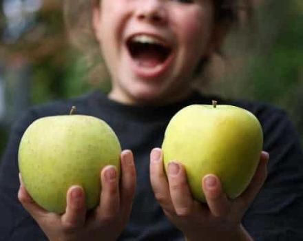 Mutsu-omenoiden kuvaus ja ominaisuudet, istutus, kasvatus ja hoito