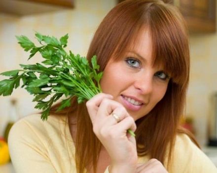 The benefits and harms of parsley during early and late pregnancy