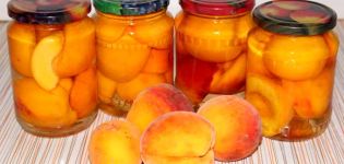 TOP 4 recepten, hoe gemakkelijk het is om perziken op siroop in te maken voor de winter