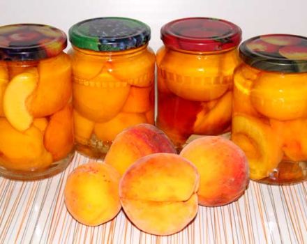 TOP 4 recipes, how easy it is to pickle peaches in syrup for the winter