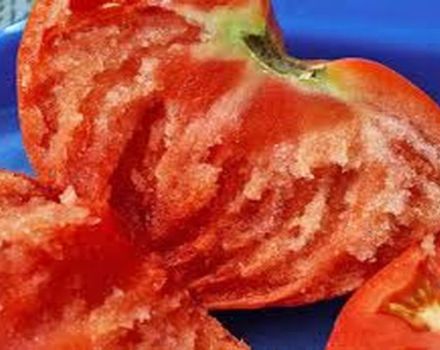 Egenskaber og beskrivelse af variationen af ​​tomat Vechniy call