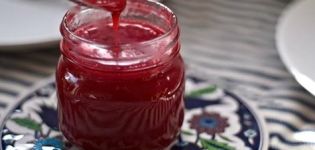 Recipes for making red currant sauce for the winter