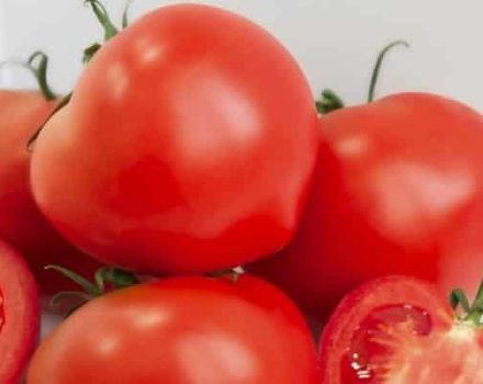 Description of the Azov tomato variety, recommendations for growing and care