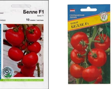 Bellé tomātu šķirnes f1 apraksts, tās īpašības un audzēšana