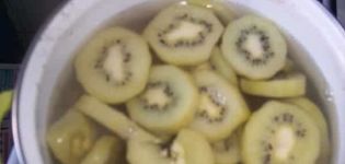 4 na mga hakbang na hakbang para sa paggawa ng kiwi compote para sa taglamig