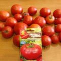 Opis odrody paradajok Laskovy Misha a jej vlastnosti