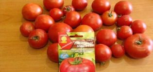 Beschreibung der Tomatensorte Laskovy Misha und ihrer Eigenschaften