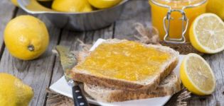 TOP 16 simple and delicious recipes for making lemon jam for the winter