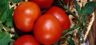 Charakterystyka i opis odmiany pomidora Lakomka