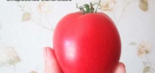 Opis odmiany pomidora Raspberry Ozharovsky, plon i pielęgnacja