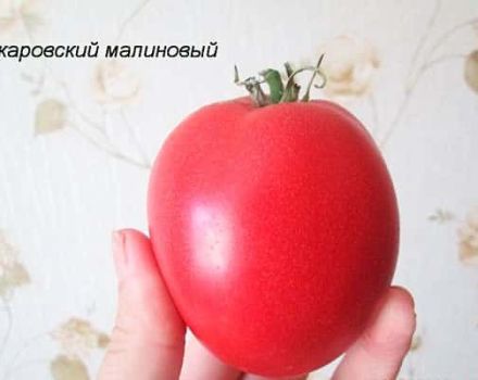 Opis odrody paradajok Raspberry Ozharovsky, výnos a starostlivosť