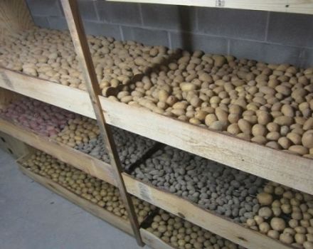 Hogyan és hol lehet a burgonyát otthonosan tárolni egy lakásban