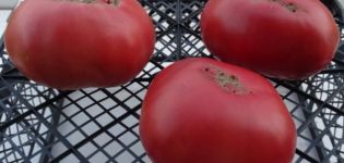 Descrierea soiului de tomate Big Dipper și a randamentului său