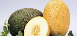 Descripció de la varietat de meló Caramel, característiques del cultiu i cura
