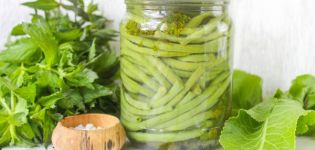 TOP 10 opskrifter til madlavning af aspargesbønner til vinteren, med og uden sterilisering