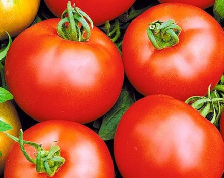 Descripción de la variedad de tomate Voskhod, sus características y cultivo.