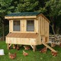 Step-by-step instructions on how to make a chicken coop for 10 chickens with your own hands