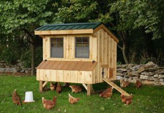Step-by-step instructions on how to make a chicken coop for 10 chickens with your own hands