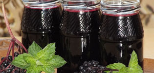 A simple recipe for making chokeberry jam for the winter