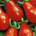 Matryoshka-tomaattilajikkeen ominaisuudet ja kuvaus, sen sato