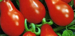 Eigenschaften und Beschreibung der Matryoshka-Tomatensorte, deren Ertrag