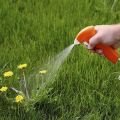Instrucciones de uso del herbicida Excelente contra las malas hierbas en las camas