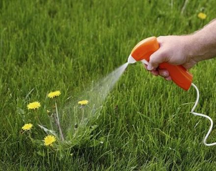 Útmutató a herbicid felhasználásához Kiválóan gyomnövényekkel szemben az ágyakban