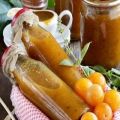 TOP 11 przepisów na przygotowanie półfabrykatów sosu śliwkowego na zimę