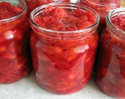 TOP 6 công thức nấu ăn cho sốt borscht mùa đông với đậu