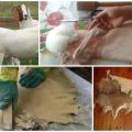 How to make a goat skin correctly at home, step by step instructions