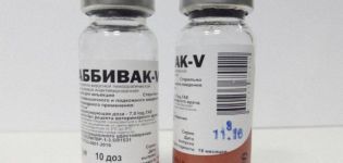 Instructions for the use of Rabbiwak V for rabbits, analogues and cost