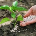 Tipi e caratteristiche dei fertilizzanti minerali, organici, fosforo, potassio e azoto