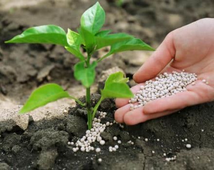 Tipus i característiques dels fertilitzants minerals, orgànics, fòsfor, potassa i nitrogen
